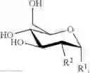 Fig. 22 - Hexose derivatives, preparation and uses thereof