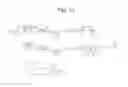 Fig. 03 - Human iNKT cell activation using glycolipids