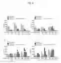 Fig. 25 - Human iNKT cell activation using glycolipids