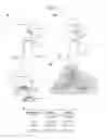 Fig. 26 - Human iNKT cell activation using glycolipids