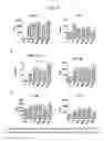 Fig. 34 - Human iNKT cell activation using glycolipids