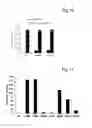 Fig. 19 - Method of producing an active-form mutant enzyme