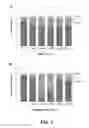 Fig. 03 - Compositions and methods for treating diseases by inhibiting exosome release