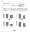 Fig. 06 - Compositions and methods for treating diseases by inhibiting exosome release