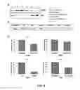 Fig. 07 - Compositions and methods for treating diseases by inhibiting exosome release