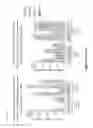 Fig. 12 - Immunogens for HIV vaccination