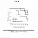 Fig. 07 - Immunogenic compositions comprising polypeptides and fusions thereof