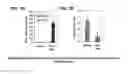 Fig. 08 - Immunogenic compositions comprising polypeptides and fusions thereof