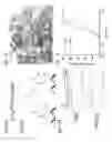 Fig. 08 - Site-specific DNA base editing using modified APOBEC enzymes