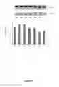 Fig. 15 - CRISPR-based methods and products for increasing frataxin levels and uses thereof