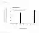 Fig. 02 - BMP-7 PEPTIDES AND METHODS OF USE