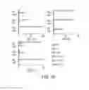 Fig. 13 - Epitope for switching to T17 cell and use thereof