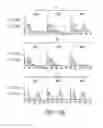 Fig. 20 - Epitope for switching to T17 cell and use thereof