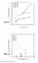 Fig. 02 - ANTIBODY FORMULATION
