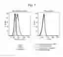 Fig. 08 - Complexes between anti-TNF antibodies, trimeric TNF proteins and organic molecules binding them