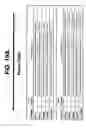 Fig. 24 - M-CSF Specific Monoclonal Antibody and Uses Thereof