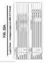 Fig. 30 - M-CSF Specific Monoclonal Antibody and Uses Thereof