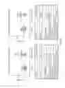Fig. 07 - ANTIBODIES THAT RECOGNIZE IAPP
