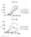Fig. 03 - Therapeutic CD47 antibodies