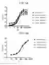 Fig. 04 - Therapeutic CD47 antibodies