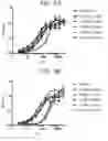 Fig. 06 - Therapeutic CD47 antibodies
