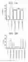 Fig. 12 - Therapeutic CD47 antibodies