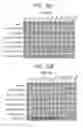 Fig. 16 - Therapeutic CD47 antibodies