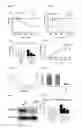 Fig. 06 - Method of Increasing GIPCR Signalization in the Cells of a Scoliotic Subject