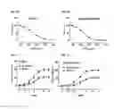Fig. 07 - Method of Increasing GIPCR Signalization in the Cells of a Scoliotic Subject
