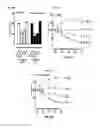 Fig. 10 - Method of Increasing GIPCR Signalization in the Cells of a Scoliotic Subject