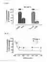 Fig. 17 - Method of Increasing GIPCR Signalization in the Cells of a Scoliotic Subject