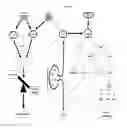 Fig. 18 - Method of Increasing GIPCR Signalization in the Cells of a Scoliotic Subject
