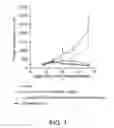 Fig. 02 - COMBINED USE OF IMMUNE ACTIVATORS