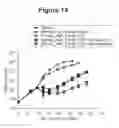 Fig. 22 - Therapeutic antibodies and their uses