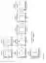 Fig. 31 - Affinity entities comprising a TCR-like antibody binding domain with high affinity and fine specificity and uses of same