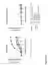 Fig. 82 - Affinity entities comprising a TCR-like antibody binding domain with high affinity and fine specificity and uses of same
