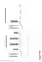 Fig. 83 - Affinity entities comprising a TCR-like antibody binding domain with high affinity and fine specificity and uses of same