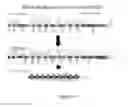 Fig. 02 - Afucosylated protein, cell expressing said protein and associated methods