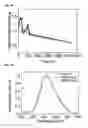 Fig. 37 - RUBBER-LIKE MATERIAL FOR THE IMMOBILIZATION OF PROTEINS AND ITS USE IN LIGHTING, DIAGNOSIS AND BIOCATALYSIS