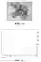 Fig. 07 - Thermoplastic elastomers via reversible addition-fragmentation chain transfer polymerization of triglycerides