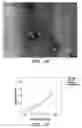 Fig. 10 - Thermoplastic elastomers via reversible addition-fragmentation chain transfer polymerization of triglycerides