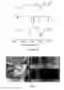 Fig. 04 - LARGE AREA MONOLAYER OF PERFLUORO POLYMERS