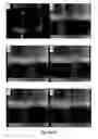 Fig. 08 - LARGE AREA MONOLAYER OF PERFLUORO POLYMERS