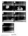 Fig. 09 - LARGE AREA MONOLAYER OF PERFLUORO POLYMERS