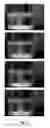 Fig. 10 - LARGE AREA MONOLAYER OF PERFLUORO POLYMERS