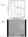 Fig. 04 - Etchant for use in rapid formation of robust porous polymers