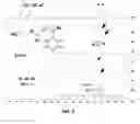 Fig. 07 - Etchant for use in rapid formation of robust porous polymers