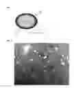 Fig. 02 - Artificial marble chip, method of preparing the same and artificial marble including the same