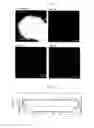 Fig. 02 - Method for producing oxide particles with controlled color characteristics, oxide particles, and coating or film-like composition comprising the same