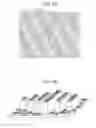 Fig. 06 - SURFACE TOPOGRAPHIES FOR NON-TOXIC BIOADHESION CONTROL
